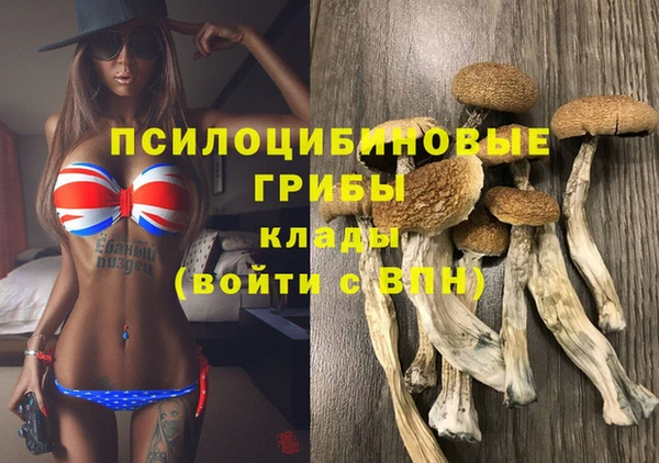 PSILOCYBIN Сафоново