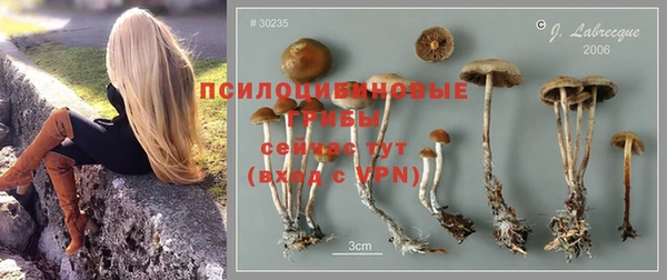 PSILOCYBIN Сафоново